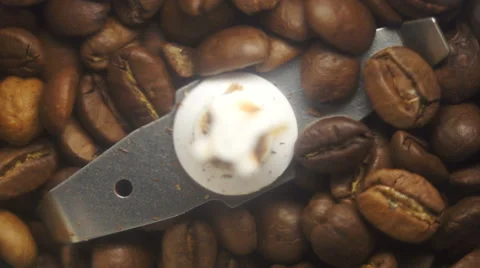 Coffee beans in a coffee grinder Stock-Footage 45159692