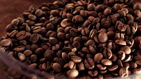 Coffee Beans in Coffee Grinder Stock Footage 95169540