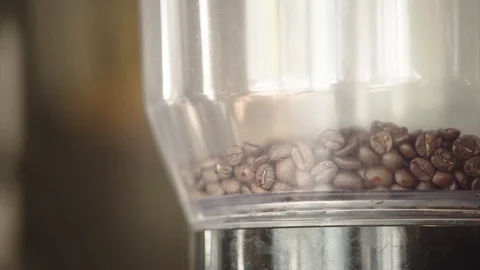 Coffee Beans in Coffee Grinder Machine in Café Stock Footage 103353546