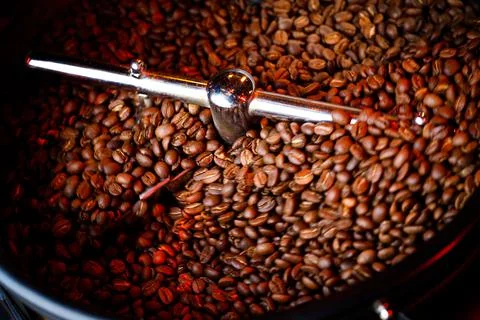 Coffee beans in a coffee machine, in dark colors. Stock Photos