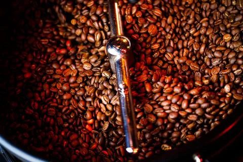 Coffee beans in a coffee machine, in dark colors. Stock Photos