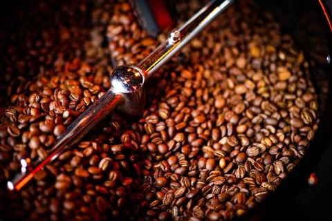 Coffee beans in a coffee machine, in dark colors. Stock Photos