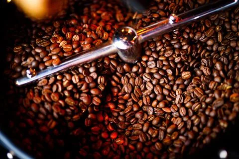 Coffee beans in a coffee machine, in dark colors. Stock Photos
