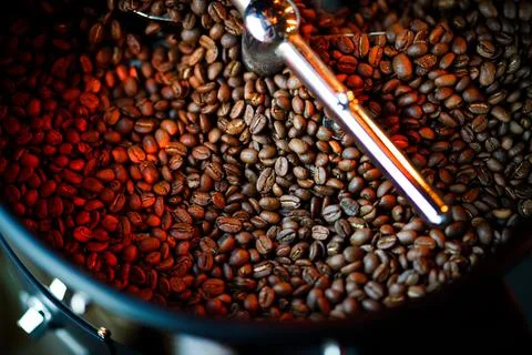 Coffee beans in a coffee machine, in dark colors. Stock Photos