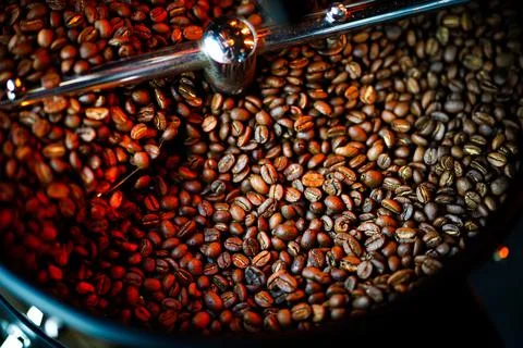 Coffee beans in a coffee machine, in dark colors. Stock Photos