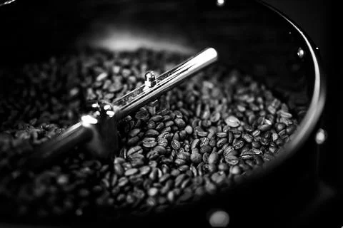 Coffee beans in a coffee machine, in dark colors. Stock Photos
