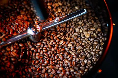 Coffee beans in a coffee machine, in dark colors. Stock Photos