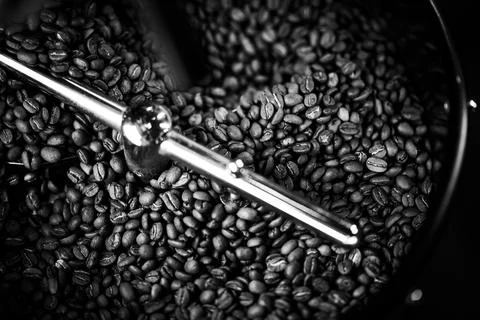 Coffee beans in a coffee machine, in dark colors. Stock Photos