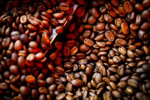 Coffee beans in a coffee machine, in dark colors. Stock Photos
