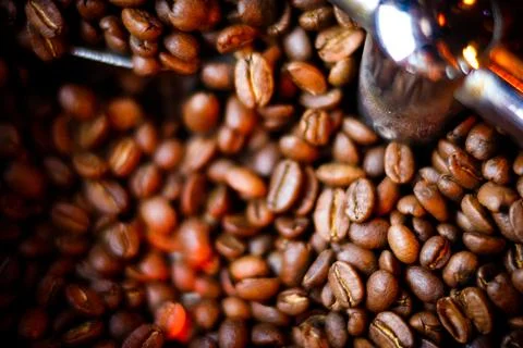 Coffee beans in a coffee machine, in dark colors. Stock Photos