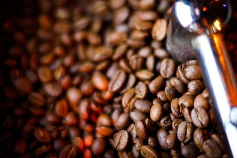 Coffee beans in a coffee machine, in dark colors. Stock Photos
