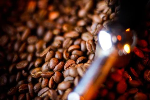 Coffee beans in a coffee machine, in dark colors. Stock Photos