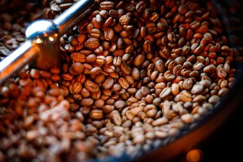 Coffee beans in a coffee machine, in dark colors. Stock Photos