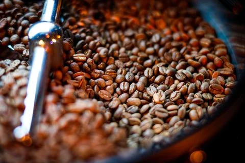 Coffee beans in a coffee machine, in dark colors. Stock Photos
