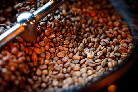 Coffee beans in a coffee machine, in dark colors. Foto stock