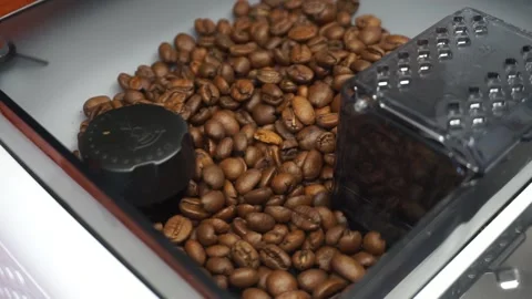 Coffee beans in the coffee machine Stock Footage 257500072
