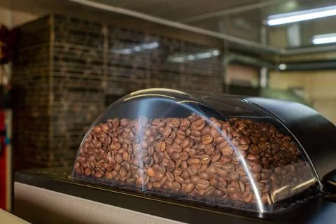 Coffee beans in a coffee machine for preparing a delicious coffee drink Stock-Fotos
