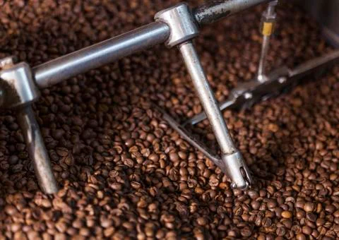 Coffee beans in the coffee roaster Foto stock