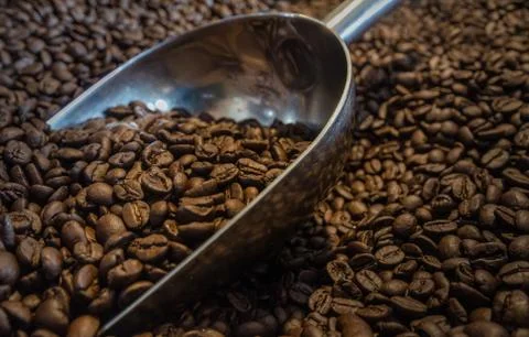 Coffee beans with a coffee scoop Stock Photos