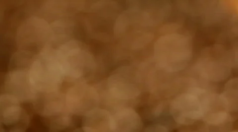 Coffee beans - coming into focus - version 2. Stock Footage 311345