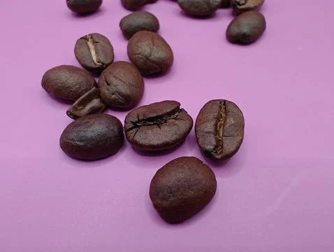 Coffee beans composition on a bright background close-up Stock Photos