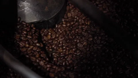 Coffee Beans Cooling After Roasted At Manufacturing Plant Close Up Stock Footage 143754436