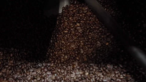 Coffee Beans Cooling After Roasted At Manufacturing Plant Stock-Footage 143756617