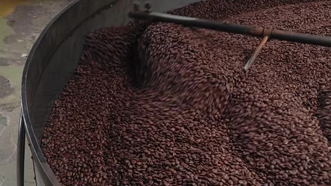 Coffee beans cooling after roasting, mixing them on a special machine Stock Footage 345368087
