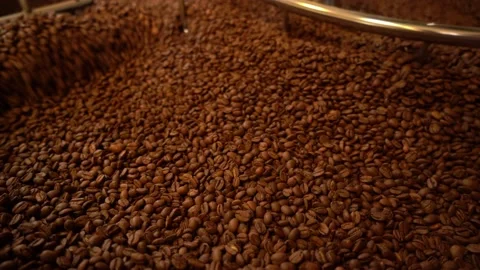 Coffee beans on cooling plate of a roasting machine Stock Footage 234629500