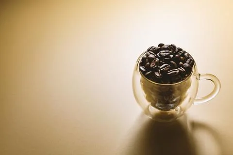 Coffee beans in a cup isolated on plain background, backlit photography Stock Photos
