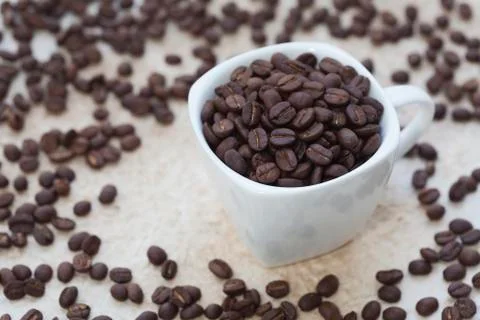 Coffee beans in a cup Foto stock