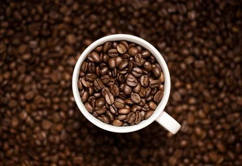 Coffee beans in the cup Stockfoto's