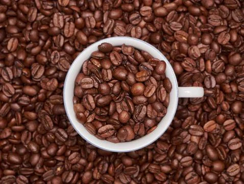 Coffee beans in a cup Stock Photos