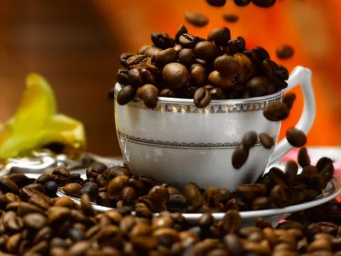 Coffee beans in a cup Stock Photos