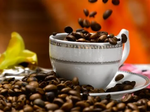 Coffee beans in a cup Stock Photos