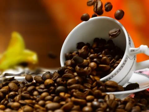 Coffee beans in a cup Stock Photos