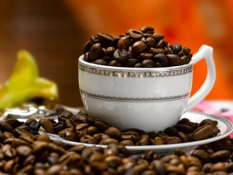 Coffee beans in a cup Stock Photos