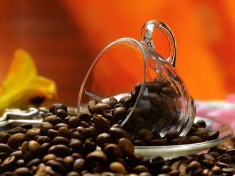 Coffee beans in a cup Stock Photos