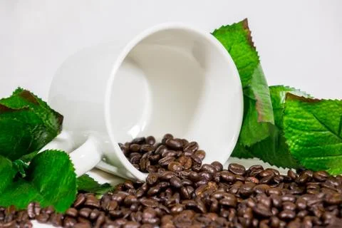 Coffee beans, cups Stock Photos