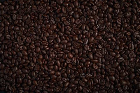 Coffee beans on dark background. Stock Photos
