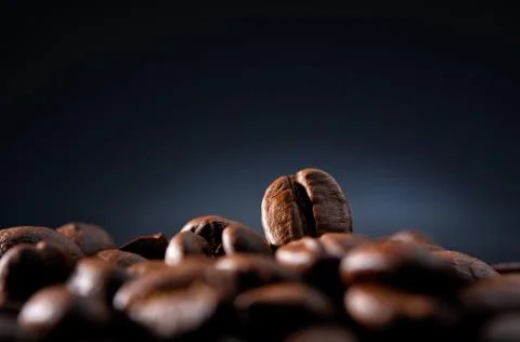 Coffee beans on a dark blue background Stock Photos