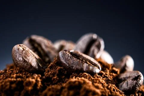 Coffee beans on a dark blue background Foto stock