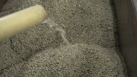 Coffee beans depulping Stock Footage 161727340