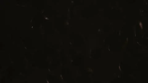 Coffee Beans Drop and Fill the Screen in Slow Motion Stock Footage 300892688