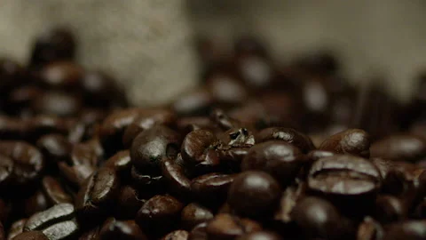 Coffee beans Drop Slow motion Stock Footage 142072774