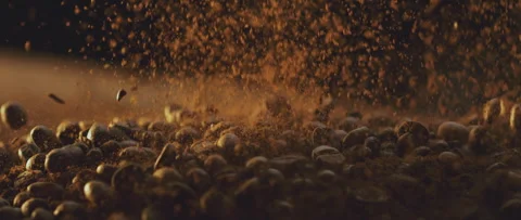 Coffee beans dropping in cacao Video stock 247383382