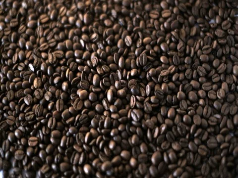 Coffee beans dropping down. Stock Footage