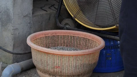 Coffee Beans drying process, outdoors shot Stock Footage 282701633