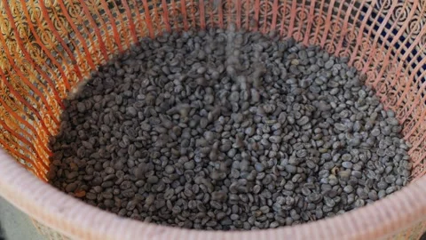 Coffee Beans drying process, outdoors shot Stock Footage 282701697