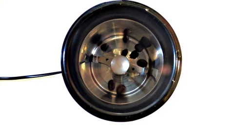 Coffee beans in electric coffee grinder for grinding Stock Footage 124039607